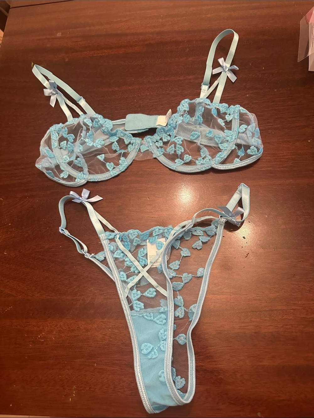 Delicate Light Blue Sheer Embroidered Lace Bra & Thong Set